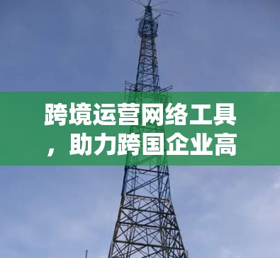 跨境运营网络工具,助力跨国企业高效运营 跨境运营网络工具,助力跨国企业高效运营