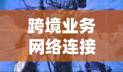 跨境业务网络连接是企业实现国际业务的重要工具,通过良好的网络连接,企业可以更高效地进行物流、运输和金融活动,降低成本,提高效率。以下是对这一概念的详细总结 跨境业务网络连接是企业实现国际业务的重要工具,通过良好的网络连接,企业可以更高效地进行物流、运输和金融活动,降低成本,提高效率。以下是对这一概念的详细总结