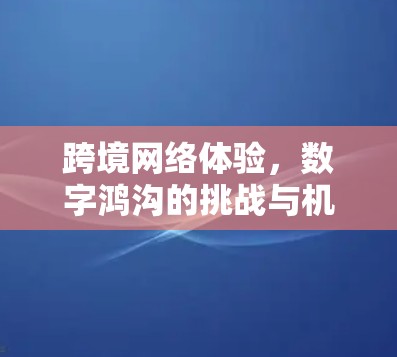 跨境网络体验，数字鸿沟的挑战与机遇
