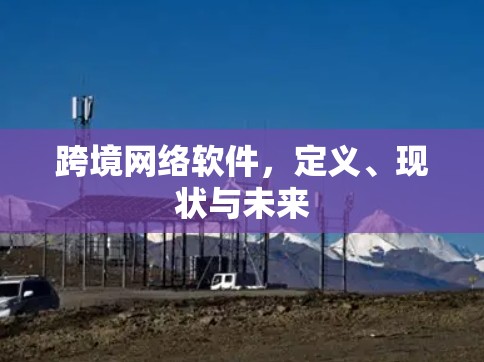 跨境网络软件，定义、现状与未来