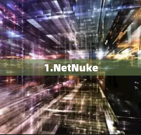 1.NetNuke