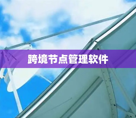 跨境节点管理软件