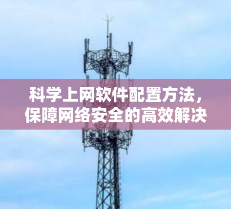 科学上网软件配置方法，保障网络安全的高效解决方案