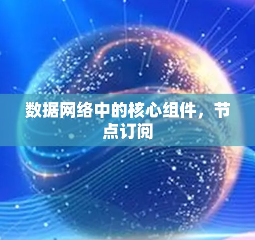数据网络中的核心组件,节点订阅 数据网络中的核心组件,节点订阅
