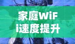 家庭WiFi速度提升必杀技 家庭WiFi速度提升必杀技
