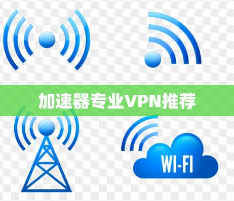 加速器专业VPN推荐