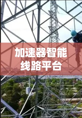 加速器智能线路平台是一个整合了智能管理、数据分析和自动化维护功能的系统，主要应用于电力、通信和数据传输网络中。以下是该平台的主要特点和功能
