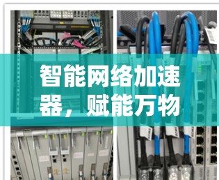 智能网络加速器，赋能万物互联的未来之光