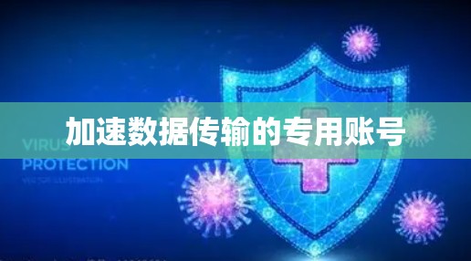 加速数据传输的专用账号 加速数据传输的专用账号