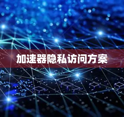 加速器隐私访问方案