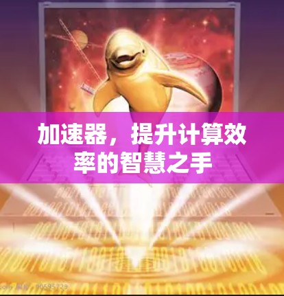 加速器，提升计算效率的智慧之手