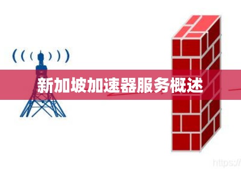 新加坡加速器服务概述