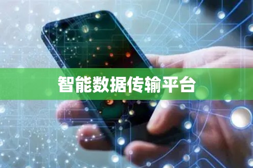 智能数据传输平台